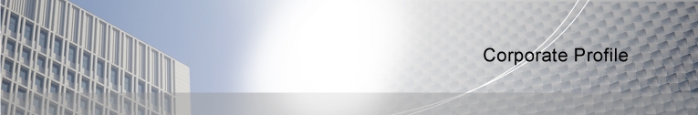 Corporate Profile